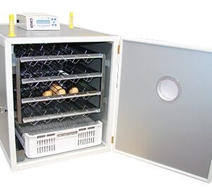 Εκκολαπτική μηχανή, αυτόματη, FIEM 'MG 200-300', μεταλλικά τοιχώματα