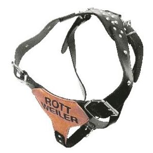 Επιστήθιο Σαμαράκι σκύλου δερμάτινο 'ROTTWEILER', Large