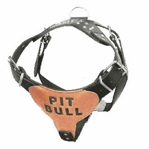 Επιστήθιο Σαμαράκι σκύλου δερμάτινο 'PIT BULL', Medium