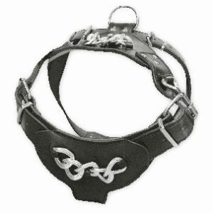 Επιστήθιο Σαμαράκι σκύλου δερμάτινο με διακοσμητικά, Medium