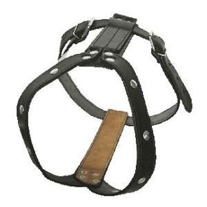 Επιστήθιο Σαμαράκι σκύλου δερμάτινο με διακοσμητικά, Medium