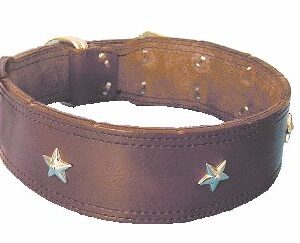 Περιλαίμιο σκύλου δερμάτινο, 50mm x 60cm