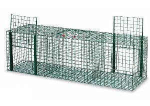 Παγίδα πτηνών 3 διαμερισμάτων