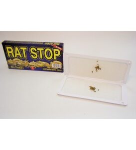 ΠΟΝΤΙΚΟΠΑΓΙΔΑ, RAT STOP - ΔΙΣΚΑΚΙ, ΠΑΓΙΔΕΣ ΚΟΛΛΑ ΑΡΟΥΡΑΙΩΝ ΤΡΩΚΤΙΚΩΝ