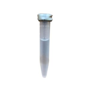 VOLCANO BED BUG LURE