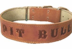 Περιλαίμιο σκύλου δερμάτινο 'PIT BULL', 40mm x 55cm - Κωδικος: 07.98.083