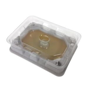 ΠΑΓΙΔΕΣ ΚΟΡΙΩΝ BED BUG MONITOR
