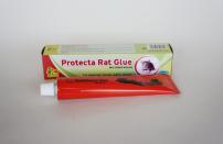 ΠΟΝΤΙΚΟΠΑΓΙΔΑ, PROTECTA RAT GLUE ΠΑΓΙΔΕΣ ΚΟΛΛΑ , ΠΟΝΤΙΚΩΝ , ΑΡΟΥΡΑΙΩΝ , ΤΡΩΚΤΙΚΩΝ